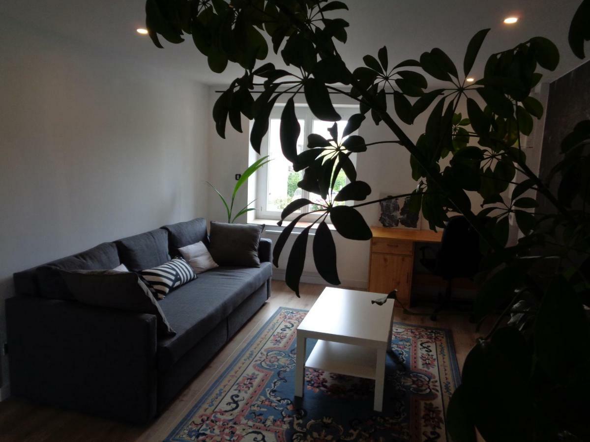 Appartement Independant Le Panassa, Centre Ville, Garage Prive Saint-Etienne  Kültér fotó